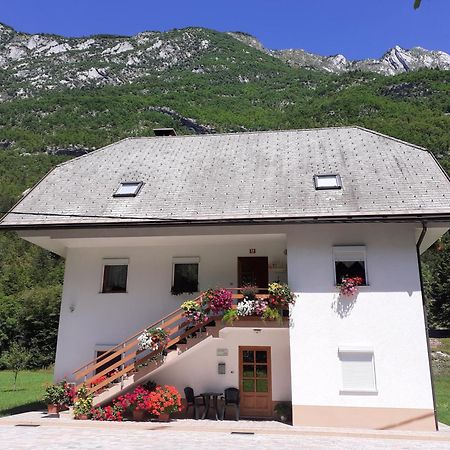 Apartma Pod Rozem Соча Экстерьер фото