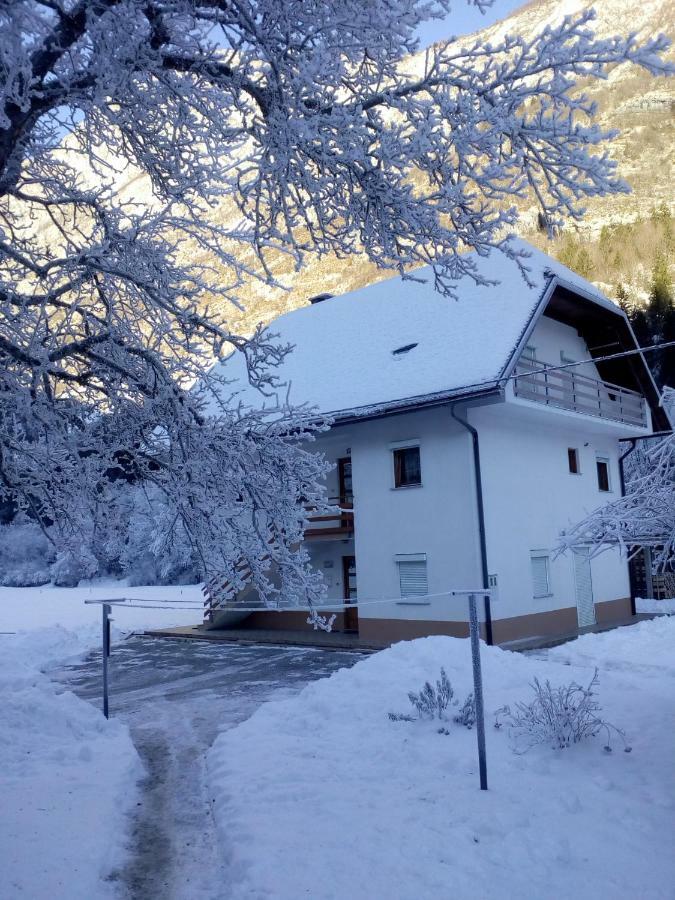 Apartma Pod Rozem Соча Экстерьер фото